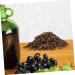 Copeaux De Ch ne pour Brassage du Vin Copeaux De Ch ne pour Vin Rouge Fournitures De Brassage pour Vieillissement du Whisky - Buy Online on GoSupps.com