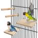 QUOZUO Bird Perches Stand Platform Natural Wood Parrot Toy Perch Stand Budgie Cage Accessories for parakeets Cockatiel Parrot - Buy Online on GoSupps.com