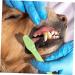 CIYODO 1 Set Pet Toothbrush Dog Mouth Cleaning Tool Dog Chew Toothbrush Dog Toothbrush and Toothpaste Pp - Buy Online on GoSupps.com