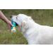 PUREPUP All Natural Nourishing Dog Shampoo & Conditioner 2 in1 with Egg Yolks Sulfate Free Soap Free Free Tearless Moisturizer for Itchy Dry Sensitive Skin Puppy Grooming Big Size Package - Buy Online on GoSupps.com