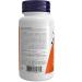NOW L-carnitine 500mg 60 Veg Capsules 60 Count 60 count (Pack of 1) - Buy Online on GoSupps.com