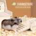6-Piece Wooden Hamster Toy Set | Safe & Fun Hiding Houses for Hamsters Chinchillas Guinea Pigs & Rabbits - Buy Online on GoSupps.com