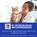 Hill's Prescription Diet Hypoallergenic Cat Treats - Vet-Recommended Formula - Buy Online on GoSupps.com