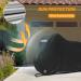 Favoto Waterproof Bicycle Cover - 210D Oxford Bike Garage Protection - XL 200x110x70cm Black - Durable & Portable with Storage Bag - Buy Online on GoSupps.com