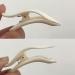2 PCS Lash Clip False Eyelash Applicator Tool | Easy Makeup Application - Buy Online on GoSupps.com