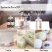 PHATOIL Top 10 Fruity Essential Oils Gift Set - Premium 10ML Fragrance Oil for Diffuser, Soap, Candle Making - Home, Office, Car Use - Buy Online on GoSupps.com