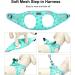 Doramio Reflective Dog Harness & Leash for Small Dogs | Breathable Step-In Safety Vest - Light Green XL - Buy Online on GoSupps.com