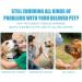 Dog Toothpaste 2 oz Mint Flavor Brushing Cleaner Effective Soothing | Fresh Breath Dental Care Tooth Paste Designed to Help Prevent Tartar Remove Plaque | Oral Care for Doggy Puppy Cat Greatideal - Buy Online on GoSupps.com