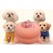 Puppy Milk Feeder with Four 4 Nipples Silicone Puppy Nursing Station,Pet Milk Feeder Bowl for Kittens, Puppies, Rabbits,Kitten Nipple Puppy Feeder,Capacity 200ml,6.76us fl oz Pink