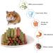 Buy Metagio 50-Piece Timothy Hay Sticks for Rabbits | Chew Toys for Guinea Pigs Hamsters & Chinchillas | 3 Delicious Flavors - International Shipping Available - Buy Online on GoSupps.com