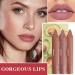 Fusang 3Pcs Nude Matte Lipstick Set - Long Lasting & Nourishing Lipgloss Set (Set B) - Buy Online on GoSupps.com