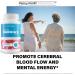 Memory Manuia a Pro - Our Best Supplements for Memory and Brain Fog - Vitamin B12 Lion's Mane Brain & Nerve Support - Nootropic Alpha Brain Support Supplement Improve Recall Focus and Brain Function - Buy Online on GoSupps.com
