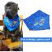 Blue Cotton Dog Birthday Bib | Washable Neckerchief for Dogs & Puppies | Fits Neck Sizes 9.8-20 inches - Buy Online on GoSupps.com