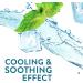 Boost Soothe Clear Peach Mint Nutritional Drink 8 Fl Oz (Pack of 6) - Buy Online on GoSupps.com