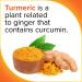 Qunol Turmeric Curcumin Gummies 500mg - Orange, 60 Count | Supports Active Lifestyle - Buy Online on GoSupps.com
