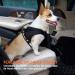 Toozey Dog Seat Belt | Elastic Pet Safety Belt with Strong Carabiners | Adjustable Dog Harness for All Breeds & Cats | Maximum Safety 1PC - Buy Online on GoSupps.com