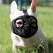 Jyhy muzzle for dogs with a flattened snout-adjustable breathable: English bulldog French bulldog Beijingese shih-ztu pug also suitable for cats.Black S S (23-31cm) black (the eyes)