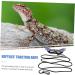POPETPOP 1 Set Lizard Leash Blue Vest Amphibia Gecko Vest Harness Lizard Leash and Harness Reptile Harness Outdoor Reptiles Strap Outdoor Lizard Strap Animal Purple 17X7X0.1CM Purple - Buy Online on GoSupps.com