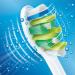 Philips Sonicare InterCare Standard Brush Heads HX9004/07 - Pack of 4 for Sonic Toothbrush | Best Price & Fast International Shipping - Buy Online on GoSupps.com