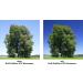 B+W 49mm MRC Nano Glass Circular Polarizer Filter - High Transmission Kaesemann - Buy Online on GoSupps.com