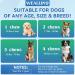 WEALLIN Cat & Dog Wellness Bundle L-Lysine Chews for Cats 500 Ct for Immune & Respiratory Support + 25-in-1 Dog Multivitamin Chews 200 Ct with Probiotics & Omega-3 Chicken Flavor - Buy Online on GoSupps.com