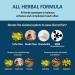 All-Natural Vegan Joint Health Drops | Comprehensive Joint Care 59ml | International Shipping Available - Buy Online on GoSupps.com