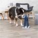 Trixie Dog Toy - Intelligence Strategy Game for Dogs | 22x33cm | Enhance Animal Welfare & Mental Stimulation | International Shipping - Buy Online on GoSupps.com