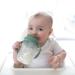 Dr. Brown's Milestones Baby's First Straw Cup 6m+ | Olive Green Sippy Cup 9oz/270ml - Buy Online on GoSupps.com