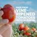 Hunt's Fire Roasted Diced Tomatoes with Garlic 14.5 oz (12 Pack) - Keto Friendly - Buy Online on GoSupps.com
