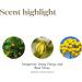 Young Living Peace & Calming Essential Oil 5ml | Aromatherapy Diffuser Oil | Relaxation Vegan Gluten-Free | Ideal for Meditation - Buy Online on GoSupps.com