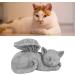 Qcwwy Pet Memorial Statue | Angel Cat Grave Marker | Resin Sleeping Pet Angel Sculpture | Tribute Ornament for Pet Memorials - Buy Online on GoSupps.com
