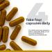Premier Research Labs PancreVen - Pancreas Support Pancreas Supplement Cinnamon Supplements with Organic Ceylon Cinnamon & Prickly Pear to Aid Pancreas Health - 120 Vegetarian Capsules - Buy Online on GoSupps.com