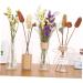 HOMSFOU 30 Pcs Decor Natural Dried Flowers Artificial Flower Wheat As Shownx2pcs mediumx2pcs - Buy Online on GoSupps.com