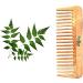 PotStar Handcrafted Wood Hair Comb for Thick, Curly, and Wavy Hair - Non-Static, Eco-Friendly - Made in India - Buy Online on GoSupps.com