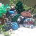 Aquarium Coral Rock Decoration Coral Reef Ornament Vivid Artificial Resin Coral Cave Environments Ornaments Aquarium Fish Tank Resin Decorations - Buy Online on GoSupps.com