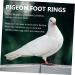 Mipcase 300 pcs Pigeon D Distinguish Private Tool Bands- Lovebirds Ringd Pigeons Homing - Marker Place 1.1x0.8cm x3pcs Colorfulx3pcs - Buy Online on GoSupps.com