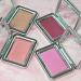 Erinde Blush Powder Makeup - Contour & Highlight for Shimmery or Matte Finish | Pop Purple 04 - Buy Online on GoSupps.com