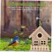 Exceart Wooden Birdhouses for Painting - DIY Bird Nest Kits - Handcrafted 14x13cm Bird Hut for Kids & Crafts - Buy Online on GoSupps.com