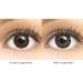 Dark Brown Contact Lenses - Choco Dark Brown Silicone Comfort -3.50 Diopters 1 Pair with Container | GlamLens - Buy Online on GoSupps.com