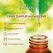 Buy Medan Fragrance Citrus Massage Oil - 1 Liter | International Shipping Available - Buy Online on GoSupps.com