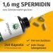 Spermidine Wheat Germ Extract - 1.6mg Daily Dose (240 Vegan Capsules) - German Quality No Additives - 2 Month Supply - Buy Online on GoSupps.com