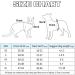 LOOK ANDES Care Carriation Cat Harness with Leash - Reflective Dishwashing for Cats & Puppies (XS: 26-30cm) - Blue - Buy Online on GoSupps.com