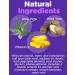 Wild Yam Cream Menopause Relief & PMS Support with Vitamin E - 2 oz (1 Pack) - Buy Online on GoSupps.com