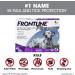 FRONTLINE Plus Flea & Tick Treatment for Large Dogs (45-88 lbs) - Effective Protection - Buy Online on GoSupps.com