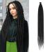 24 Inch Black Dreadlock Extensions 10 Strands Soft Reggae Braid Locs 0.6 Width Single Ended Dreads Synthetic Handmade Crochet Locs Hippie Dreadloc(1B SE 10 Strands) SE 10 Strands 1B