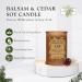 ADK Balsam & Cedar Scented Candle - 10 Oz Natural Aromatherapy for Home & Kitchen Decor | Relaxing Plant-Based Wax Gift for Christmas - Buy Online on GoSupps.com