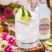 Fentimans Oriental Yuzu Tonic 200ml x 4 - Exotic Flavour Pack - Buy Online on GoSupps.com