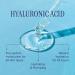 Buy Marcelle 2% Hyaluronic Acid + Probiotic Serum | Vegan Cruelty-Free Oil-Free Hypoallergenic - International Shipping Available - Buy Online on GoSupps.com