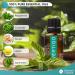 Nature's Fusions Vertigo Relief & Ginger Oil Nausea Essential Oil Blend (15ml) - Fast-Acting Motion Sickness, Morning Sickness, Dizziness & Vertigo Medicine with Peppermint - 100% Natural Relief - Buy Online on GoSupps.com
