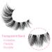 Kiromiro 15mm Cat Eye False Eyelashes - Natural Wispy Russian D Curl Lashes with Clear Band - Extension Strip Pack - Buy Online on GoSupps.com